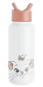 Disney Summit Water Bottle with Straw Lid