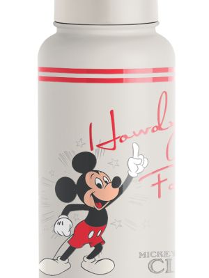 Disney Summit Water Bottle with Straw Lid