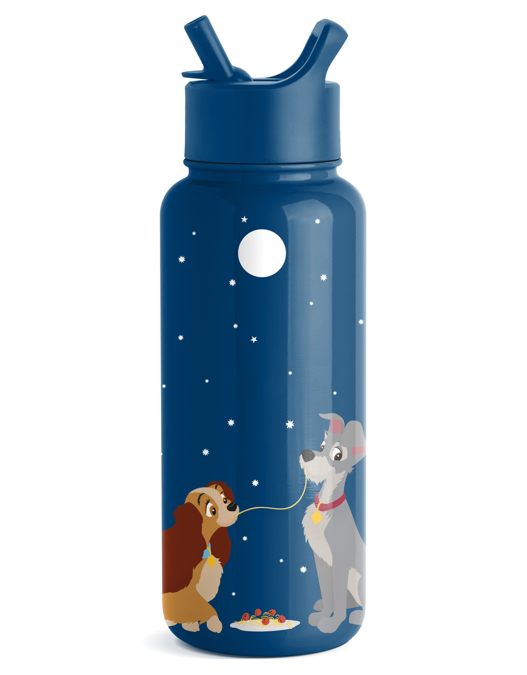 Disney Summit Water Bottle with Straw Lid