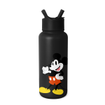 Disney Summit Water Bottle with Straw Lid