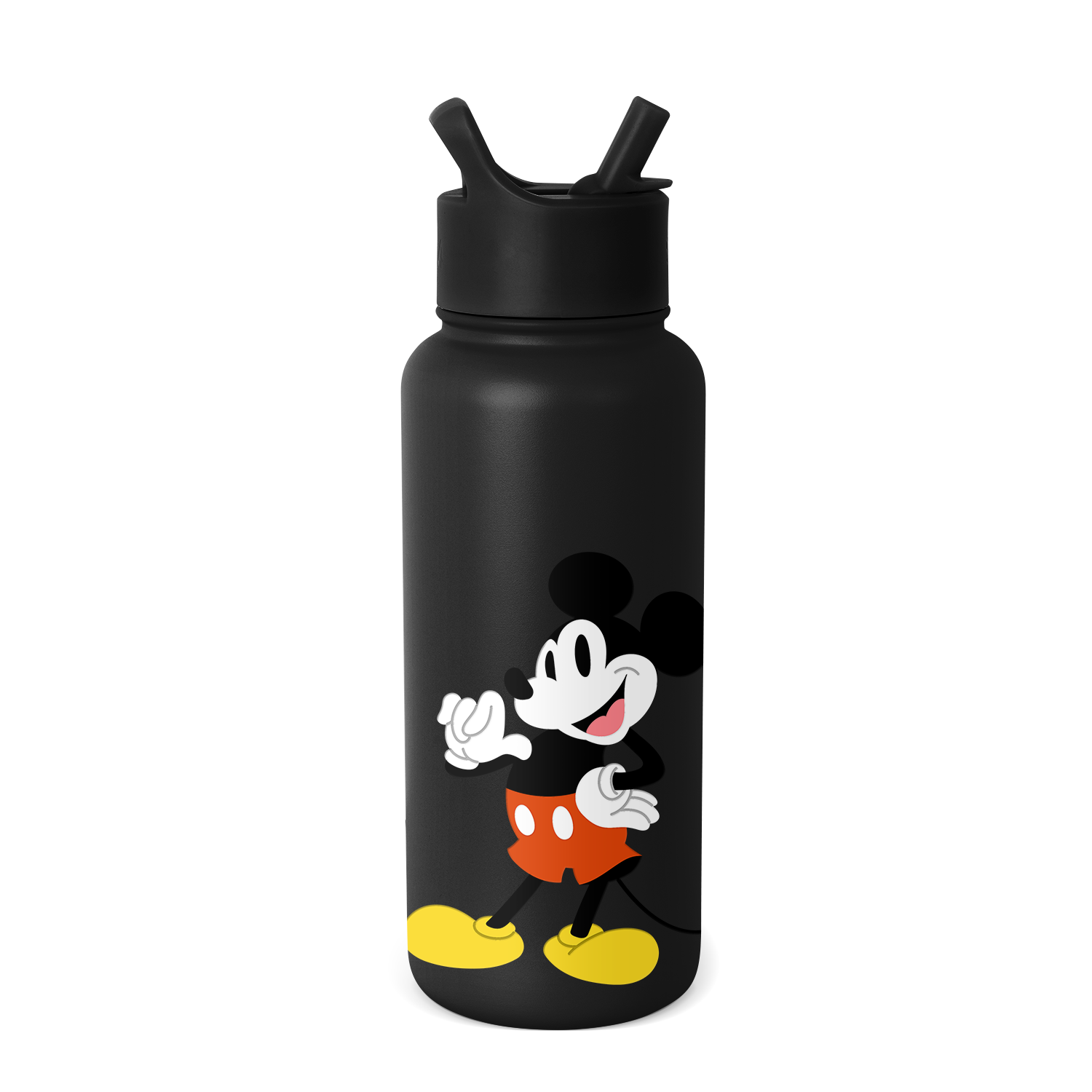 Disney Summit Water Bottle with Straw Lid