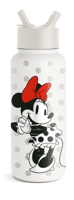 Disney Summit Water Bottle with Straw Lid