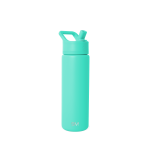Summit Water Bottle with Straw Lid